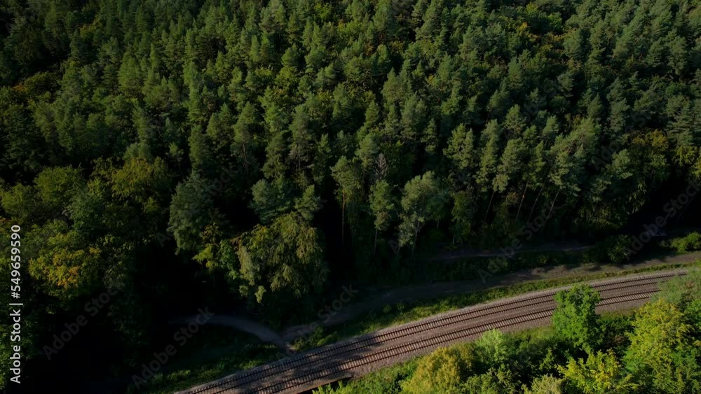 Aerial view on railway tracks in forest, Sweden