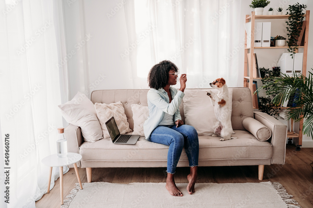 Woman feeding dog rearing up on sofa at home Woman feeding dog rearing up on sofa at home