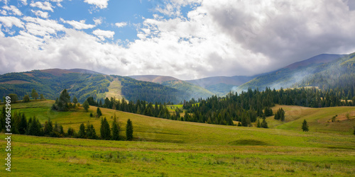 rural landscape in mountains. grassy pastures on the rolling hills near the forest. warm sunny day in autumn © Pellinni
