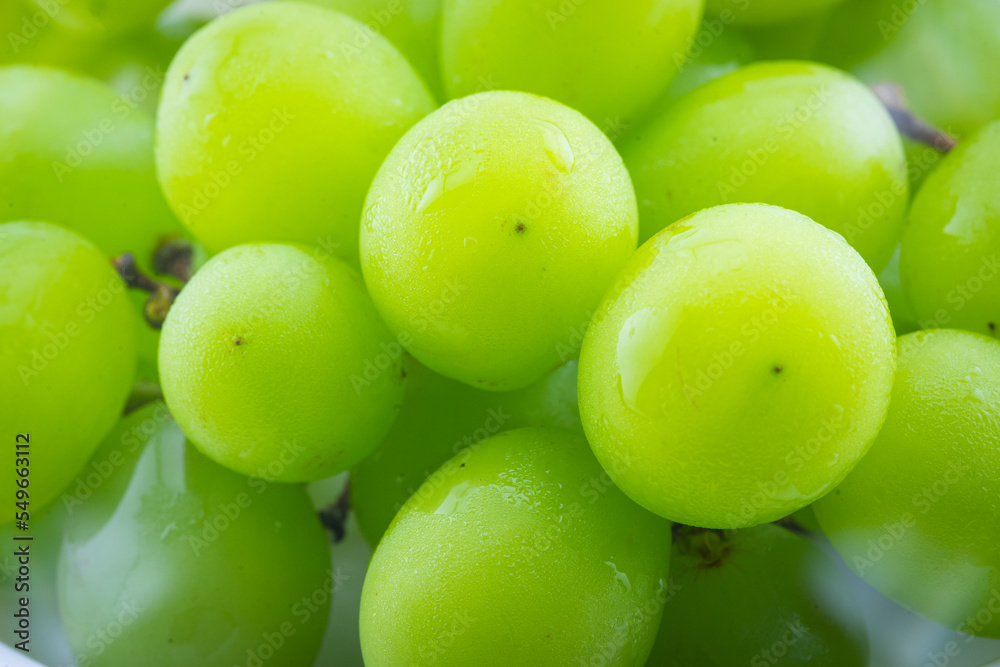 Close up green grape on white background