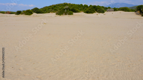 Desert on the background of green mountains. Sandy beach for summer vacation.