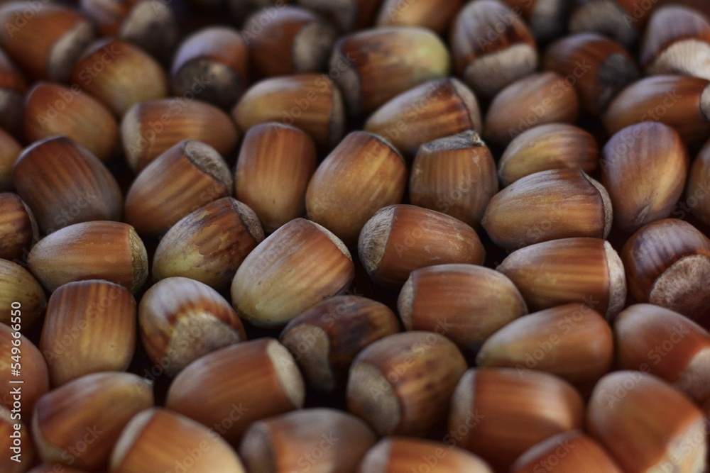 Hazelnuts. Stack of hazelnuts. Food background. Hazelnut background