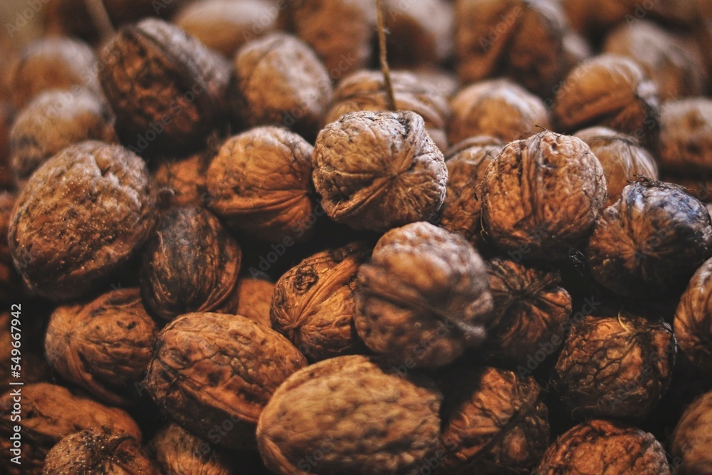 Boxes of ripe walnuts harvested from trees. Agriculture, nuts. Natural and environmentally friendly agriculture. Boxes of ripe walnuts harvested from trees. Agriculture, nuts. Natural and environmentally friendly agriculture.