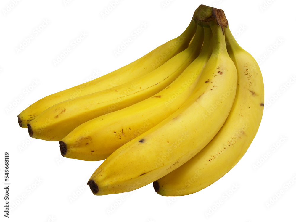 Bunch of bananas isolated 