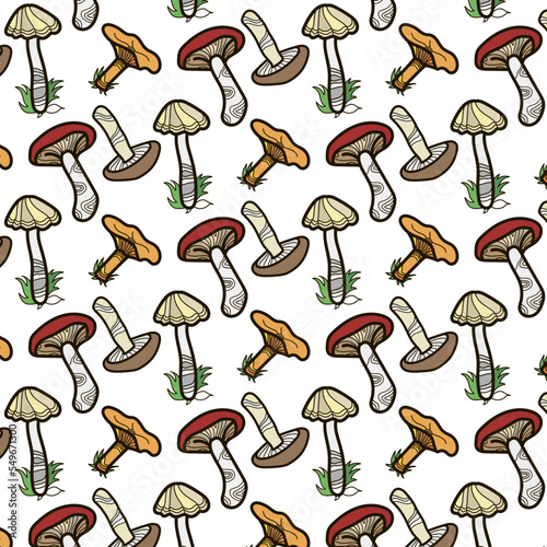 Color pattern, mushrooms. A set of vector illustrations of edible and inedible mushrooms, hand-drawn lines. White background.