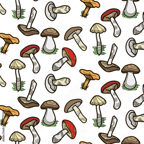 Color pattern, mushrooms.
A set of vector illustrations of edible and inedible mushrooms, hand-drawn lines. White background.