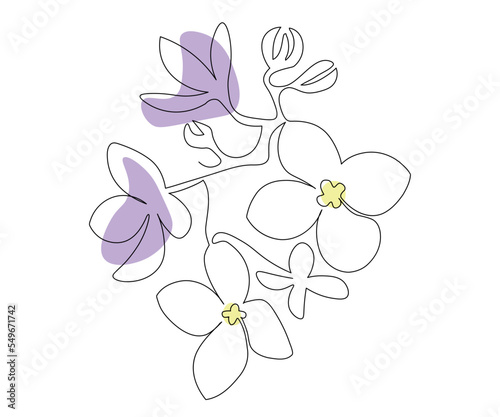 abstract violet or lilac flower in on line art style © YuliaBulgakova