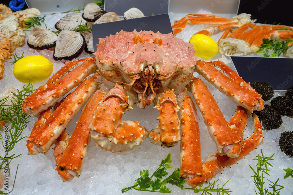 Sale of seafood. Fresh crab on pieces of ice. Sea urchins and mussels in shop window. Seafood and lemons on ice cubes. Seafood shop. Crab with long claws close-up. Fresh ocean food close up Sale of seafood. Fresh crab on pieces of ice. Sea urchins and mussels in shop window. Seafood and lemons on ice cubes. Seafood shop. Crab with long claws close-up. Fresh ocean food close up