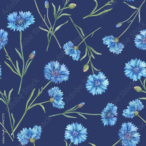 Seamless pattern with blue cornflower flower (Centaurea cyanus, bachelor's button, knapweed or bluett). Watercolor hand drawn painting illustration isolated on yellow background.