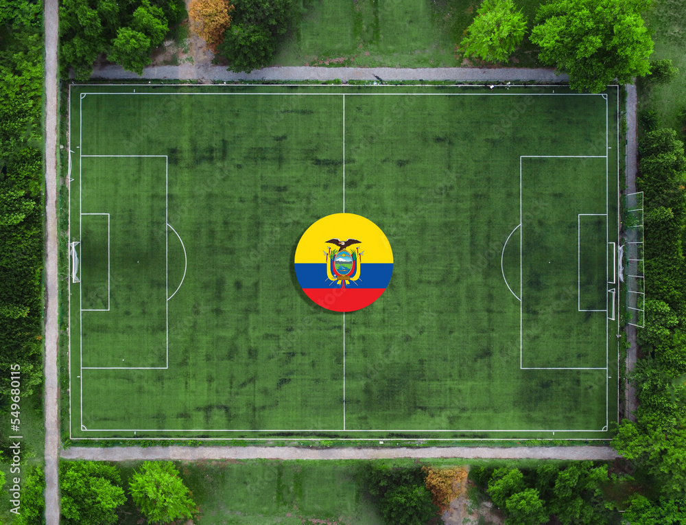 Obraz premium Representation of the football team of Ecuador