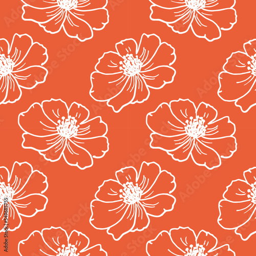 Botanical vector seamless pattern floral repeat background cosmea flowers hand drown minimalistic style white orange color