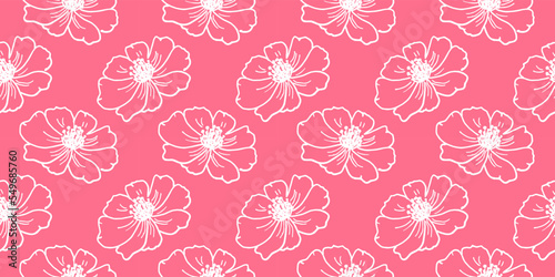 Botanical vector seamless pattern floral repeat background cosmea flowers hand drown minimalistic style white pink color