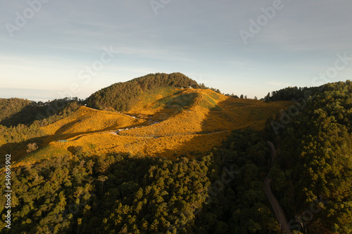 Landscape nature flower Tung Bua Tong Mexican sunflower field in Maehongson (Mae Hong Son),Thailand.