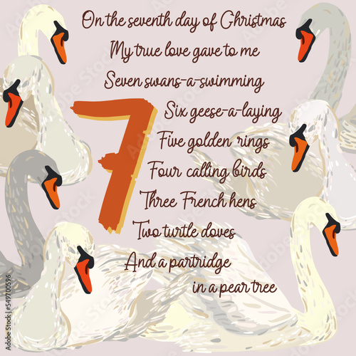 The twelve days of Christmas. Seventh day. Seven swans-a-swimming. Christmas concept.
