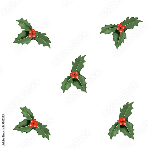 christmas holly leaves and berries