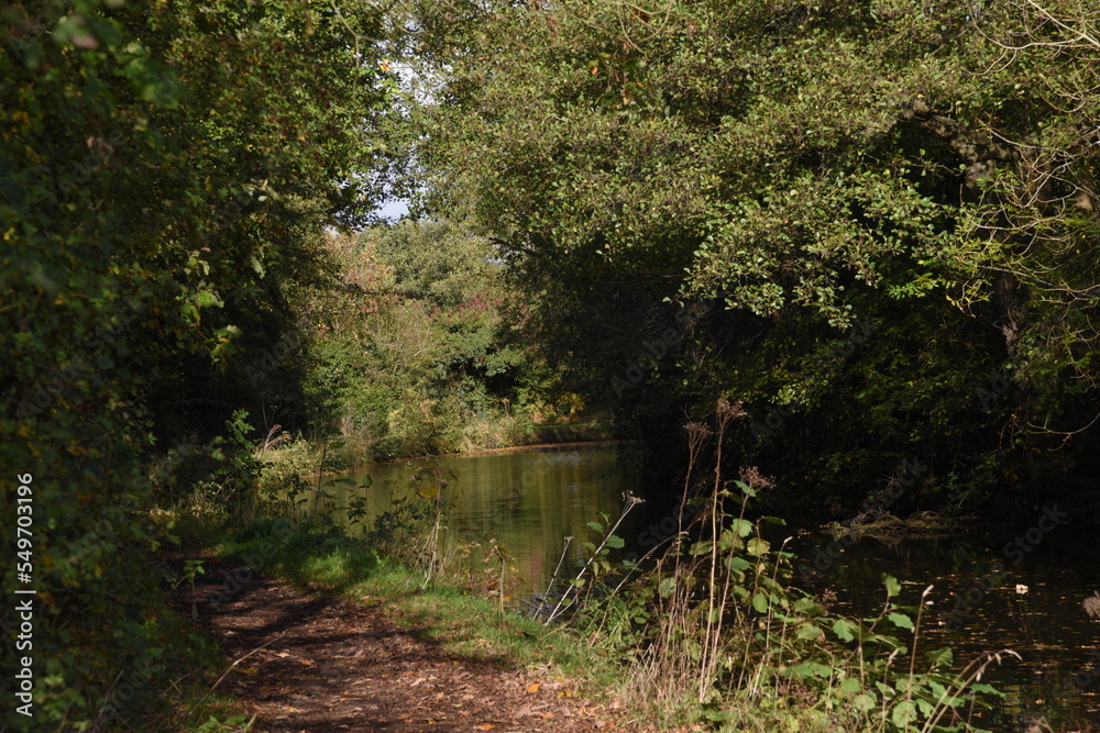 Obraz premium a view of the stourbridge canal to the stewponey for the tow path