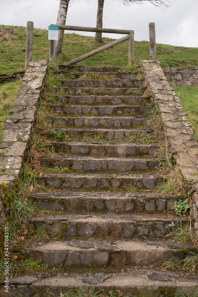 Stairs to a field cover with moss and plants