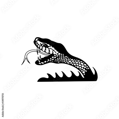 snake head vector illustration concept