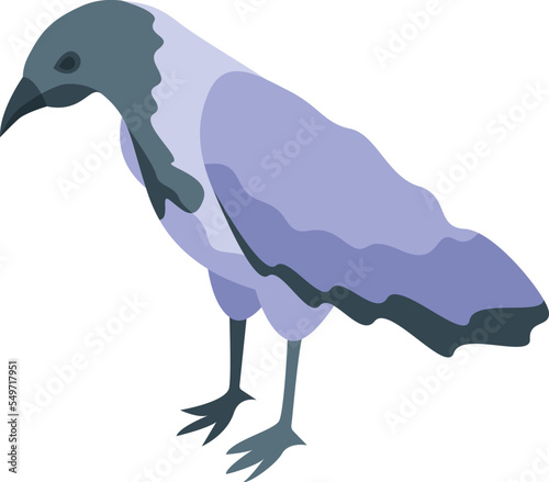 White black crow icon isometric vector. Raven bird. Nature animal