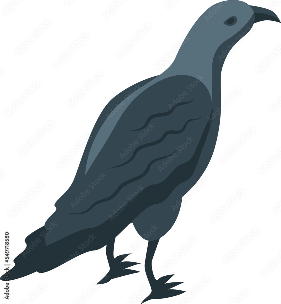 Fototapeta premium Crow icon isometric vector. Raven bird. Feather flight