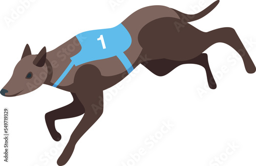 Canine sprint icon isometric vector. Animal pet. Standing mammal