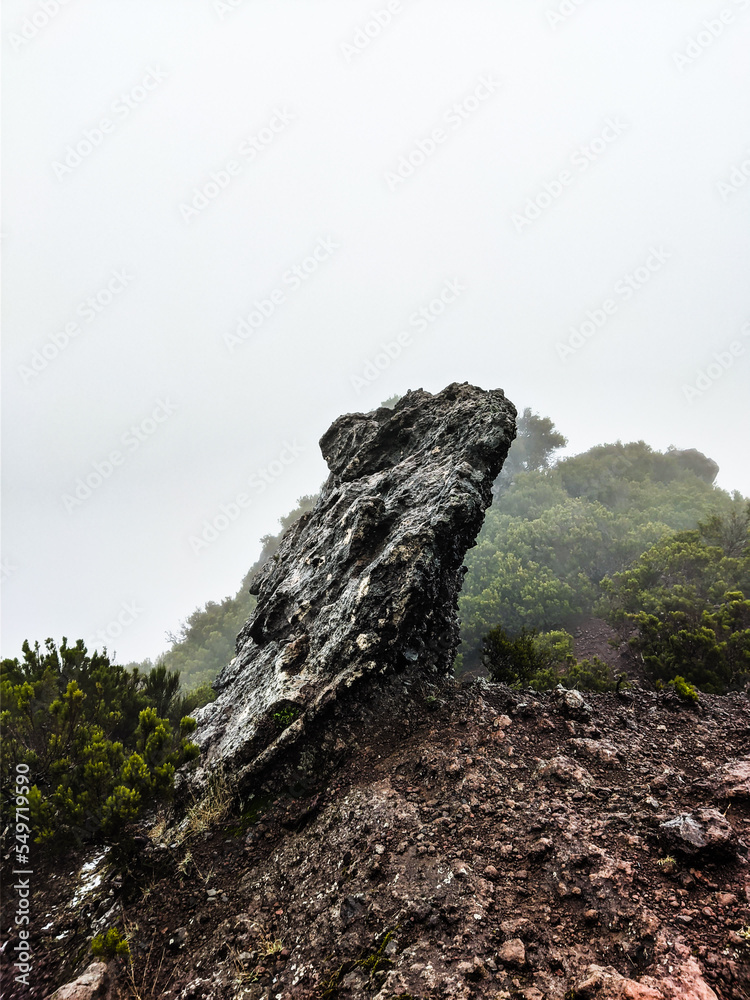 Fototapeta premium rocks in the mountains