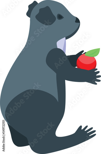 Koala eat apple icon isometric vector. Cute bear. Adorable animal