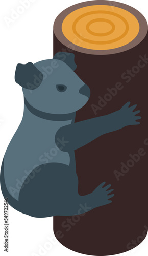 Zoo koala icon isometric vector. Cute bear. Leaf food
