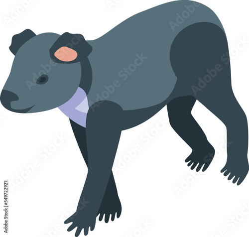 Funny koala icon isometric vector. Cute bear. Australia animal