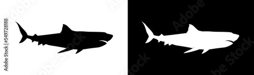 Shark icon. Wild shark black and white silhouette isolated on white and black background. 