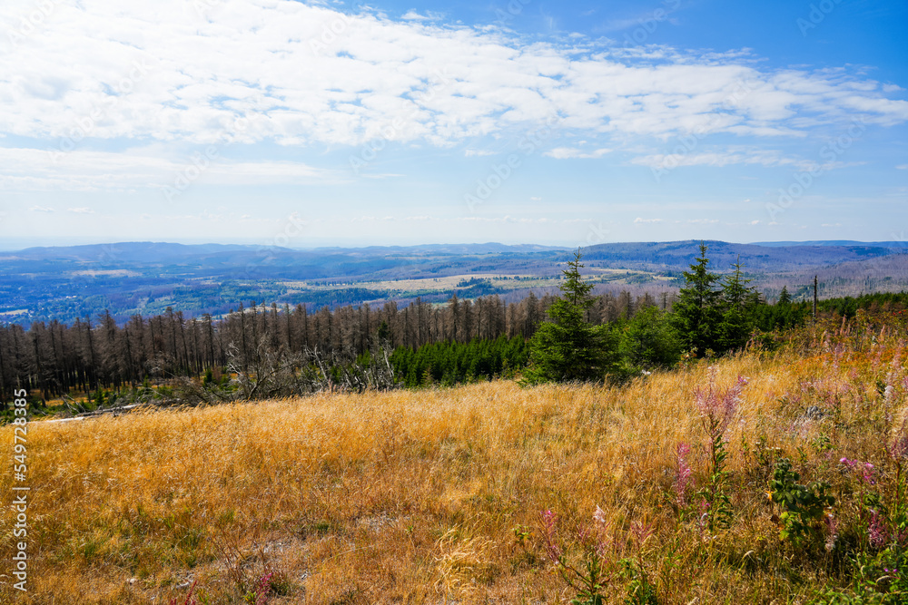 View of the surrounding landscape from the Wurmberg in the Harz mountains.
