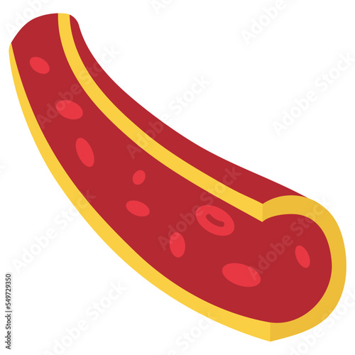 Blood Vessel 3