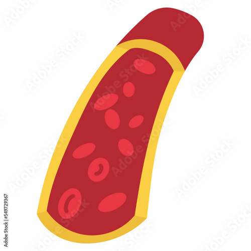 Blood Vessel 4
