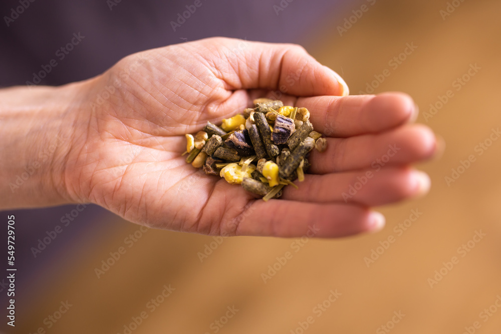 Dry food for rodents on hand, rabbit food Dry food for rodents on hand, rabbit food