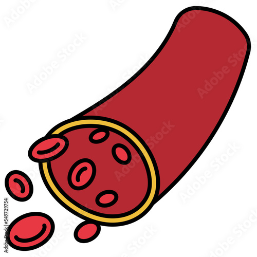 Blood Vessel 5
