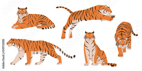 Set of cute tigers. Hand drawn vector colorful flat cartoon style illustration on white background