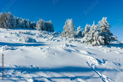 Winter landscape of Vitosha Mountain, Bulgaria