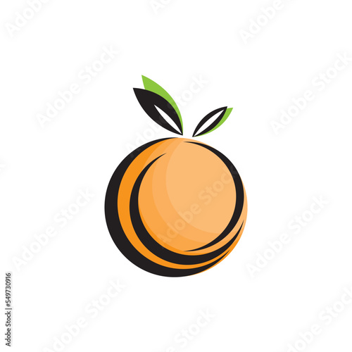 orange icon vector illustration logo design