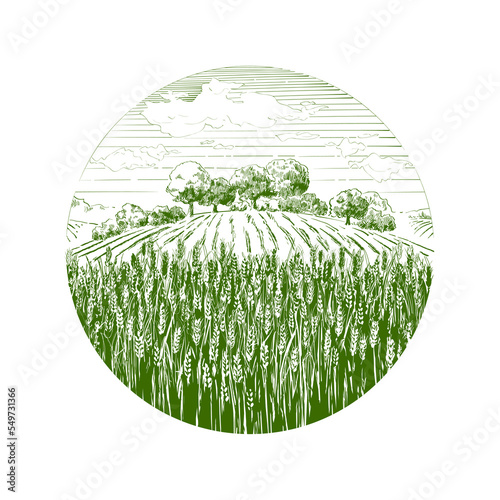 field of wheat. Ears of cereal. Rural landscape panorama. Hand drawn black silhouette illustration. Countryside engraving