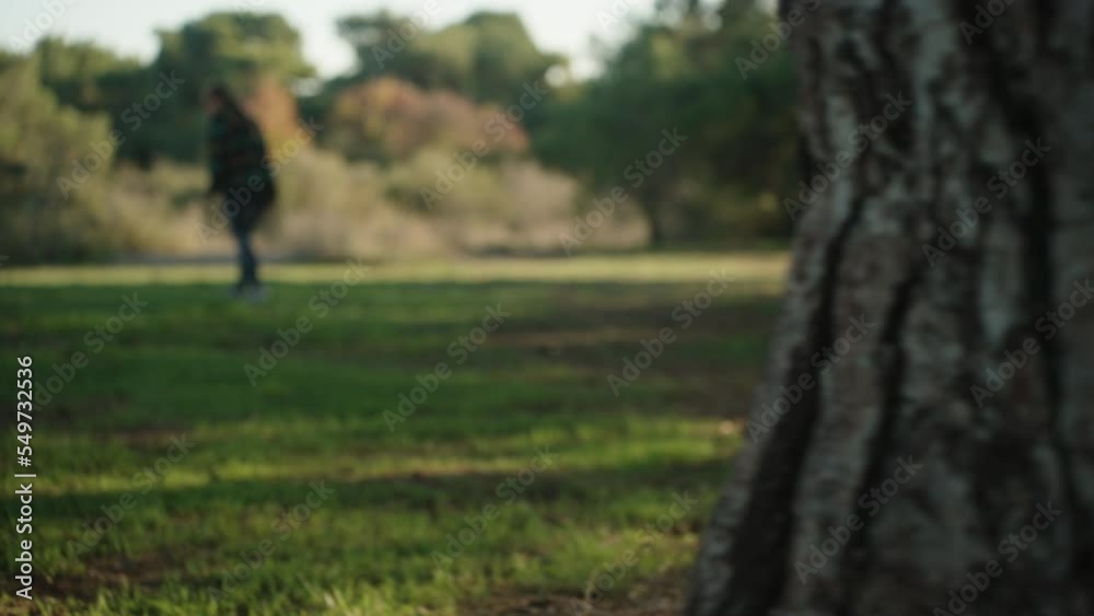 A girl in a plaid shirt walks through the forest, the camera goes behind a tree. The girl notices something and bends down to look. A girl in a plaid shirt walks through the forest, the camera goes behind a tree. The girl notices something and bends down to look.