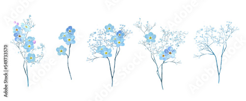 Forget me nots illustration isolated on white, png format. Aesthetic flowers set. photo