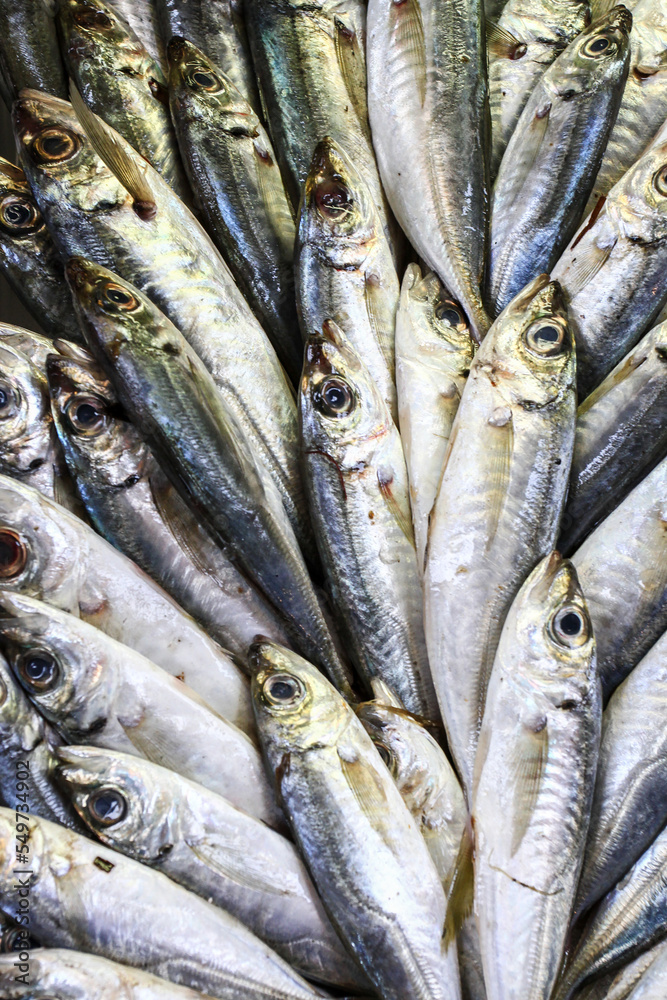 Obraz premium close up of freshly caught fresh blue fish sold at the fish market - Background, texture, concept of healthy fish and rich in omega 3