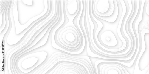 Abstract white 3d papercut topography relief. Abstract papercut and multi layer cutout geometric pattern on vector, Abstract soft white background with waves, textured Papercut.	