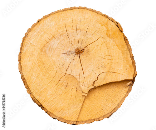 Wooden stump,log isolated on white background.Round cut down tree with as a wood texture.Transparent background PNG.