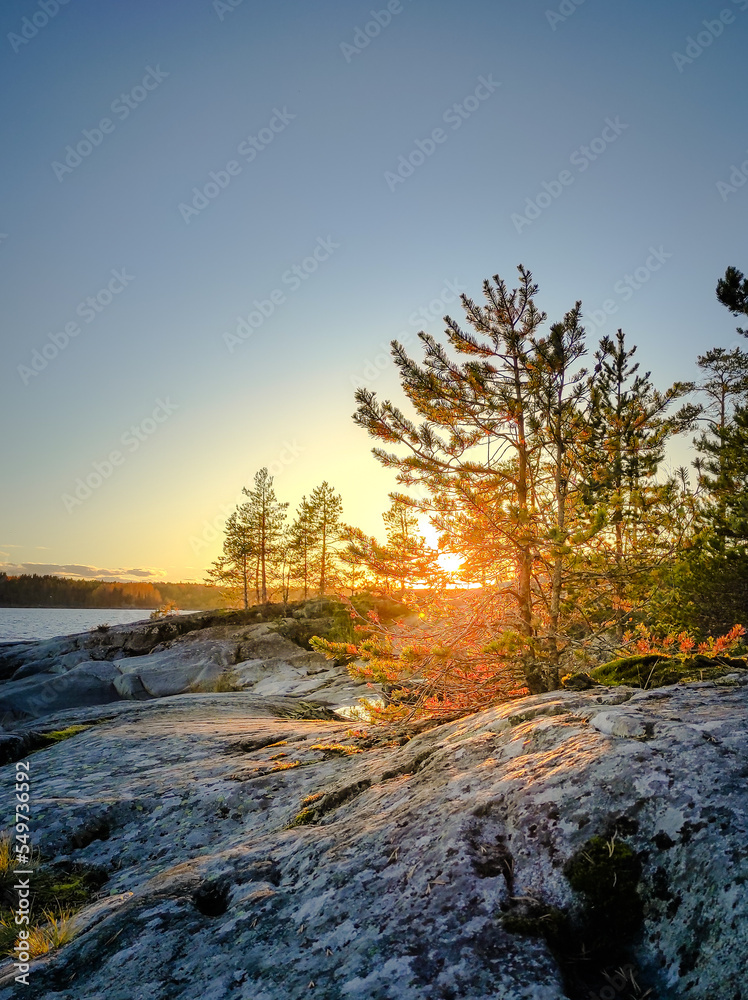 Naklejka premium Reserve Lodzhodsie Skerries in Karelia. High quality photo