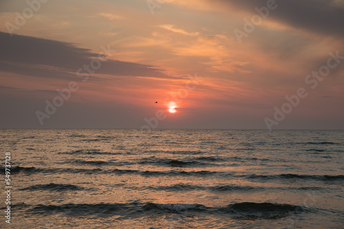 Red and orange sunset over the Sea. Birds on the background of the morning sky.