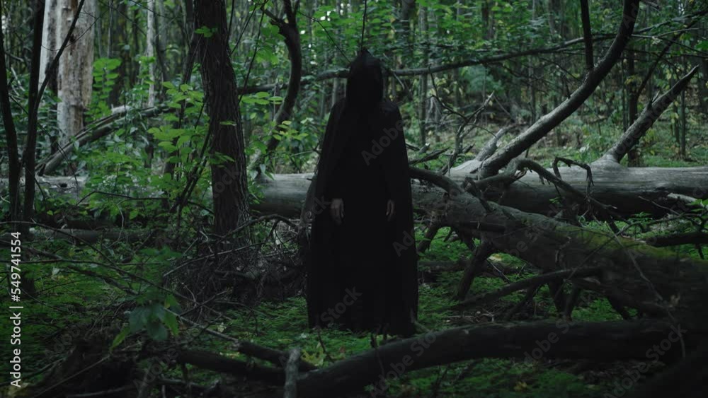 A mysterious black figure in a tunic and hood stands in the middle of a dark forest. Witch and evil in the forest.