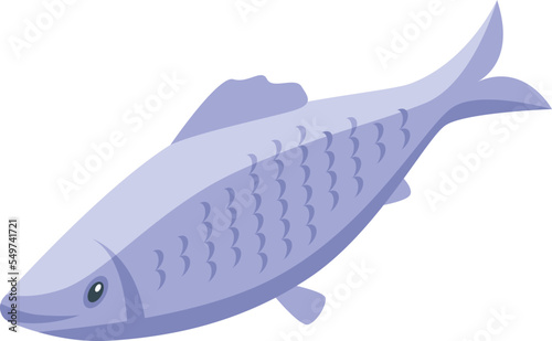 Grey herring fish icon isometric vector. Sea water. Aquatic object