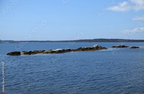 Taylor Head Park, Nova Scotia