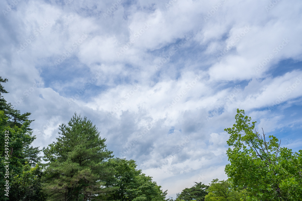 春日山神社から眺めた初夏の雄大な雲